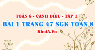 Bài 1 trang 47 SGK Toán 8 tập 1 Cánh Diều